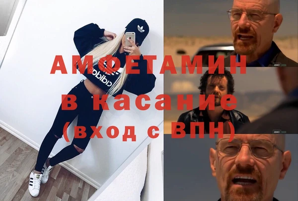 прущие грибы Аркадак