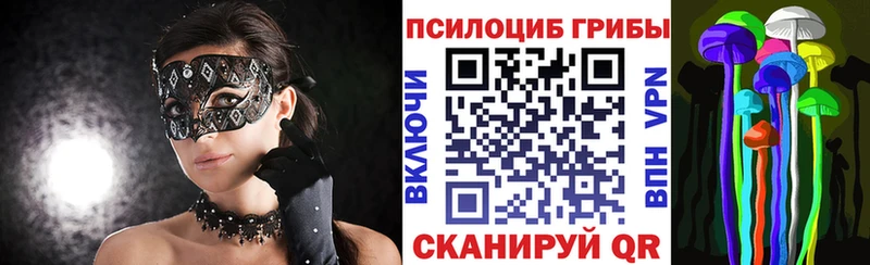 купить  сайты  Рошаль  Галлюциногенные грибы мухоморы 